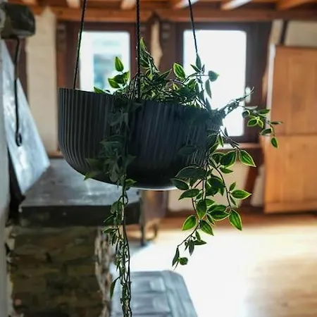 Apartment Charmante Fachwerk Mit Terrasse In Der Altstadt