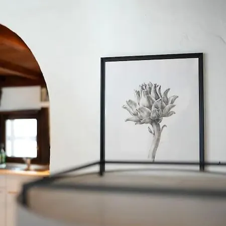 Apartment Charmante Fachwerk Mit Terrasse In Der Altstadt *