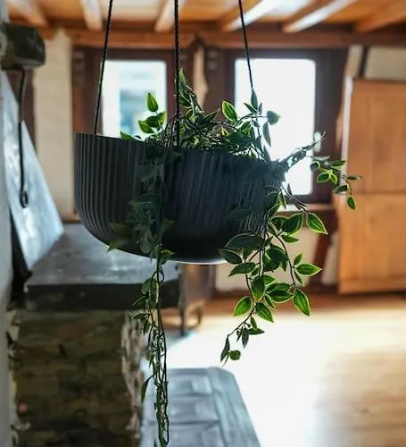 Διαμέρισμα Charmante Fachwerk Mit Terrasse In Der Altstadt