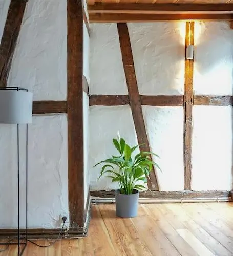 アパート Charmante Fachwerk Mit Terrasse In Der Altstadt